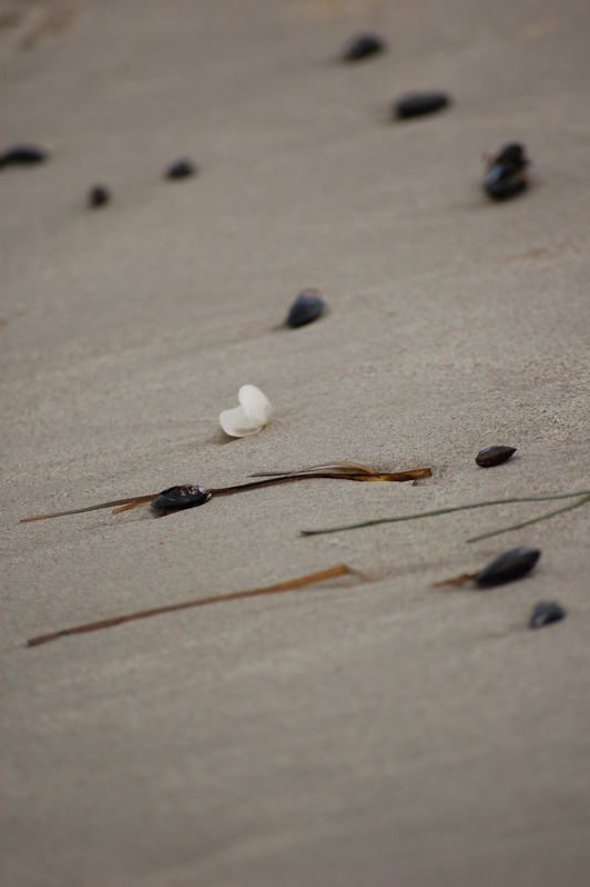 Am Strand