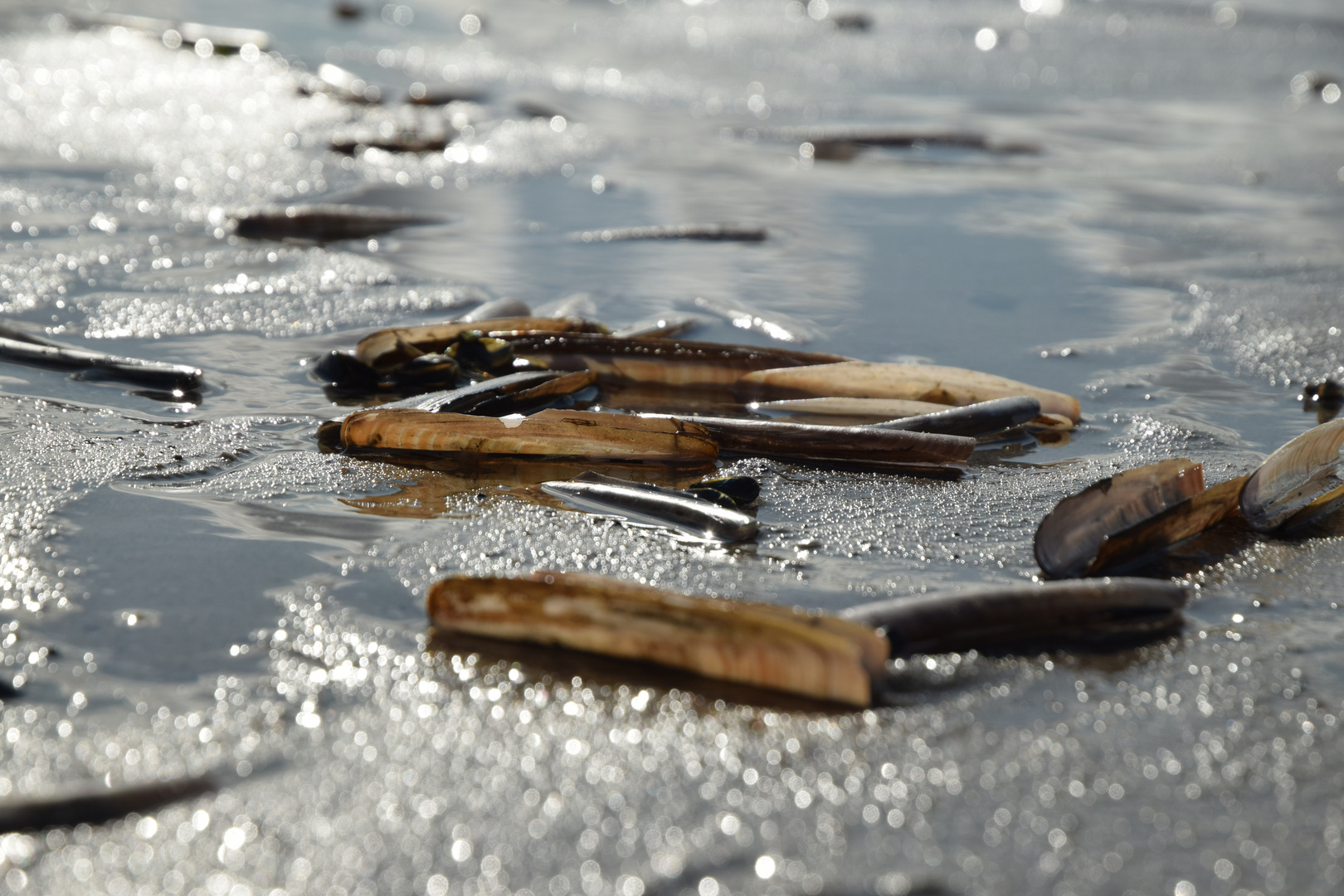 am Strand