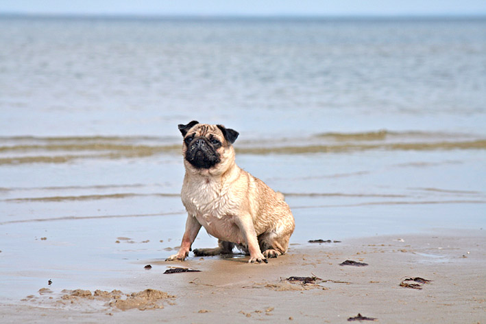 ...am Strand...