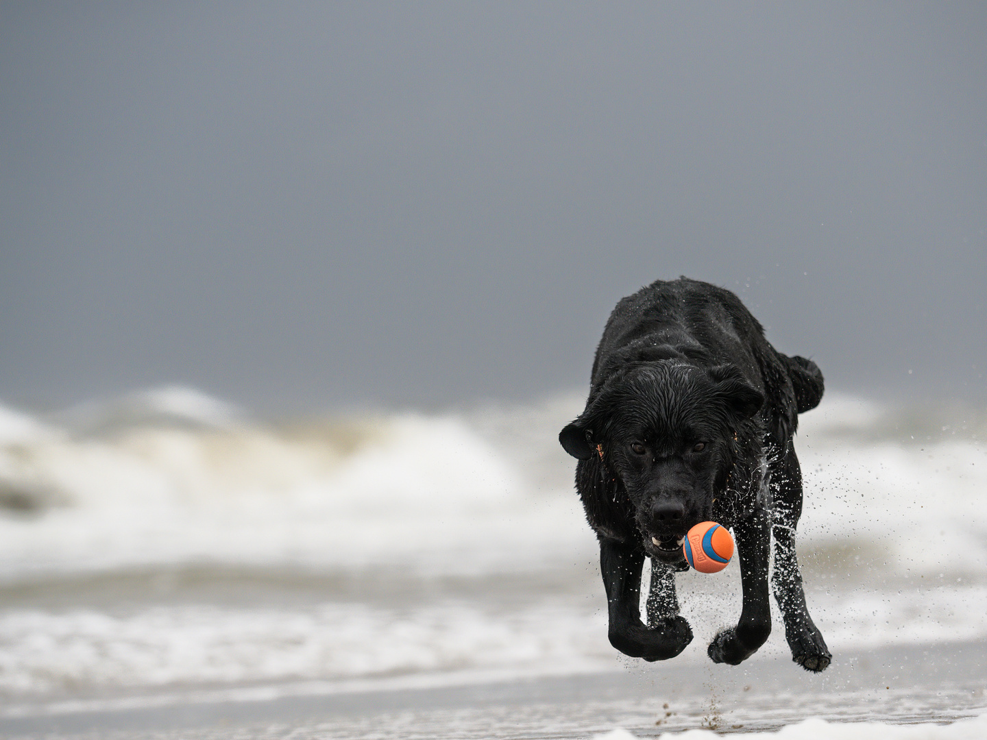 Am Strand