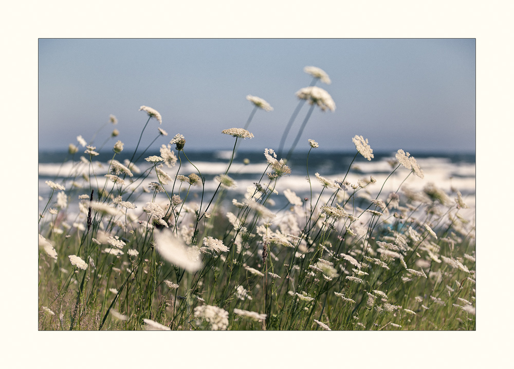 Am Strand