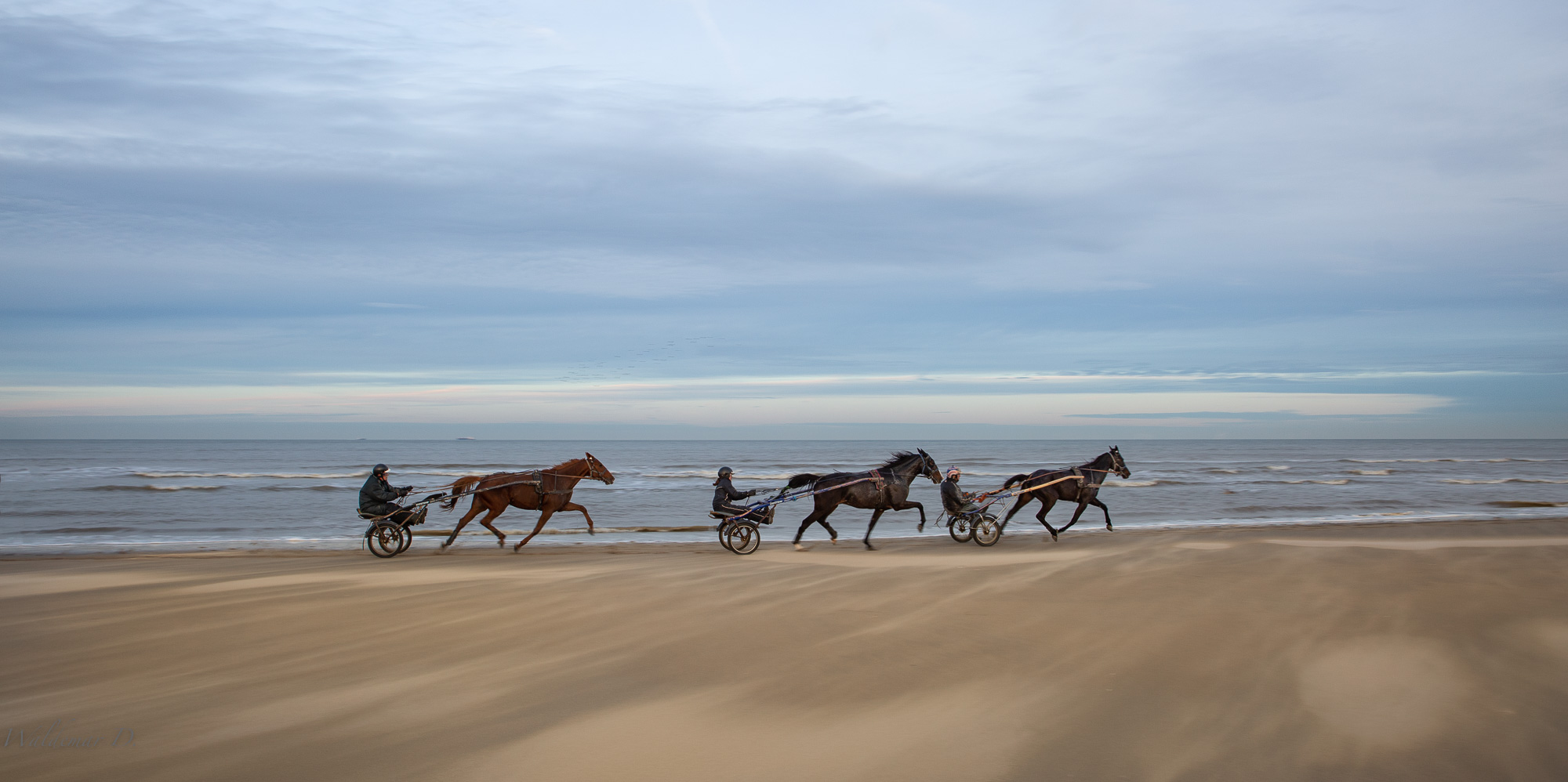 Am Strand ...