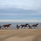 Am Strand ...