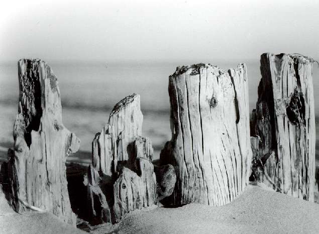 Am Strand