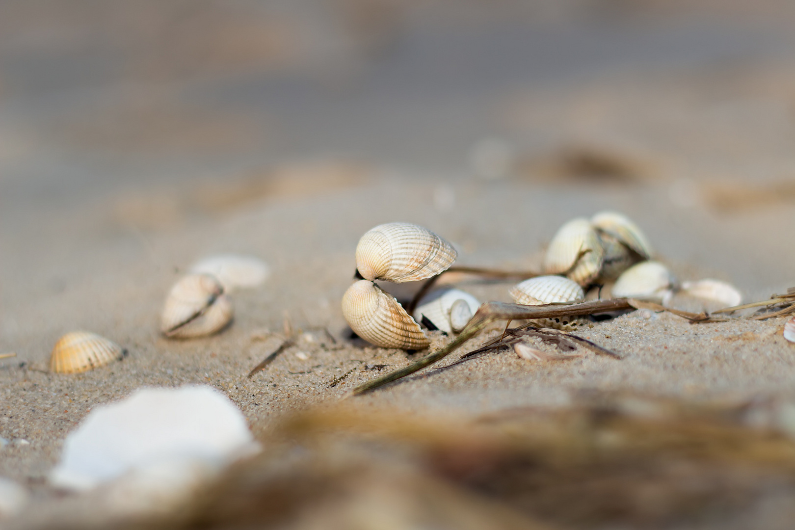 Am Strand