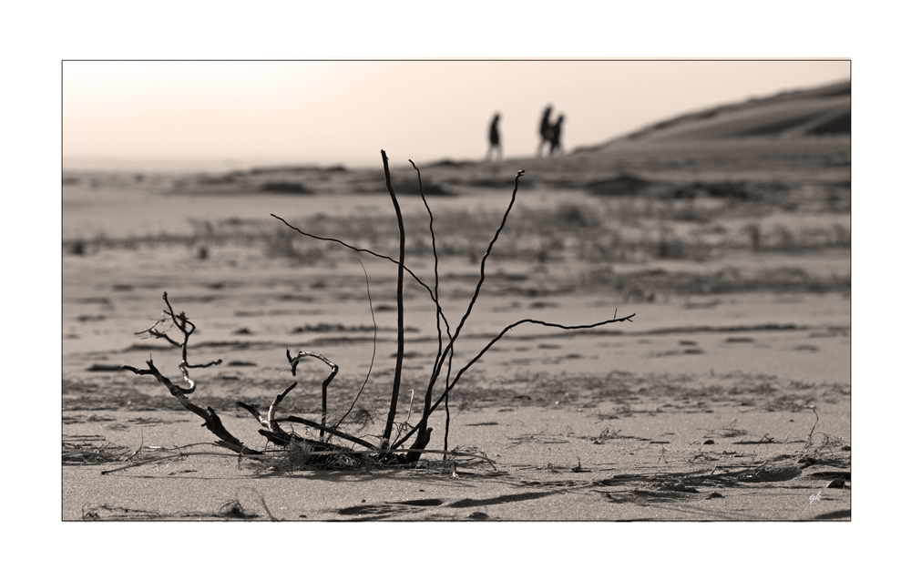 * am strand *