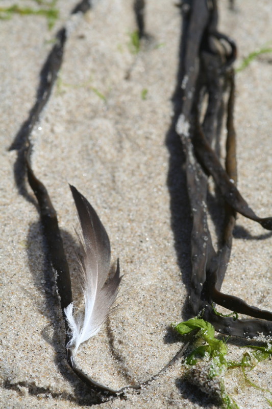 Am Strand