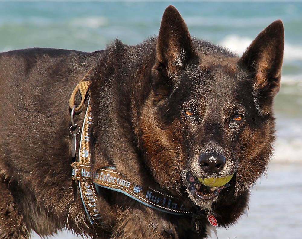 am Strand