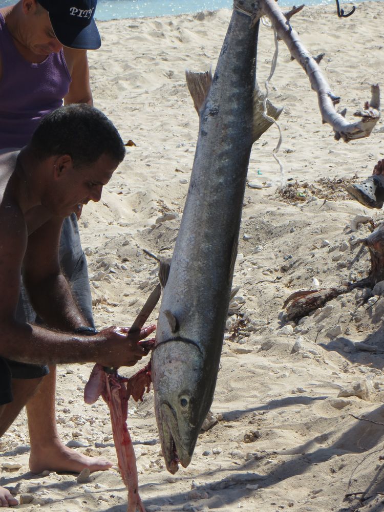 Am Strand allein unter Cubanern