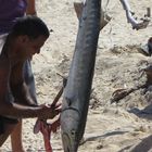 Am Strand allein unter Cubanern