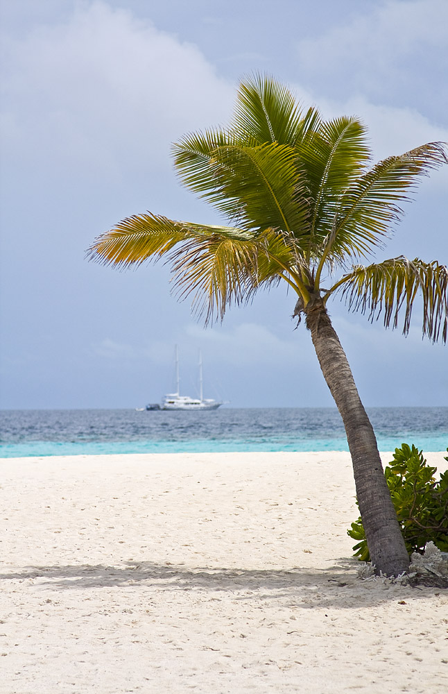 Am Strand - Am Meer