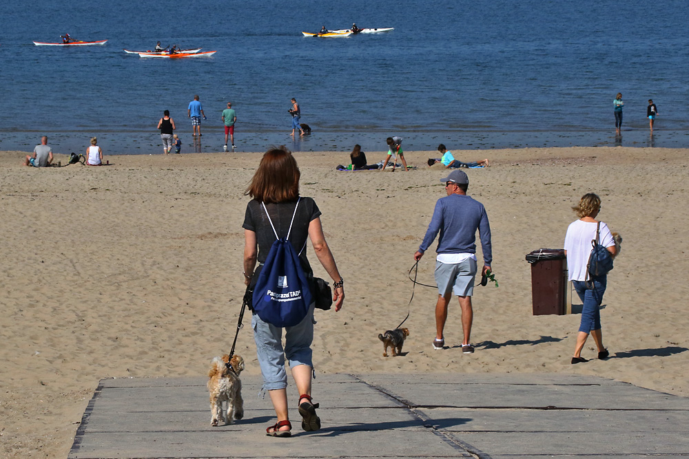 am Strand angekommen