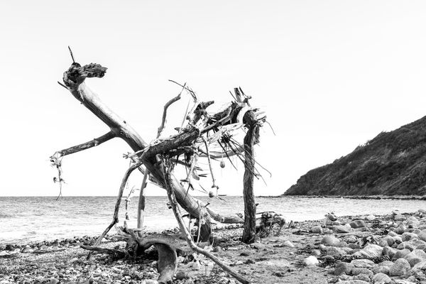 Am Strand auf dem Weg zum Dornbusch (Hiddensee)