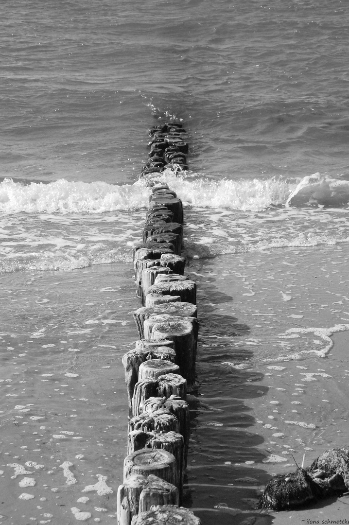 Am Strand auf der Insel Föhr