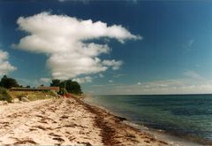 am Strand auf der Insel Langeland