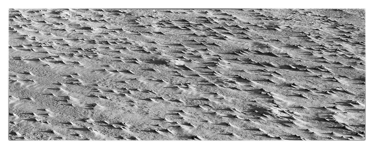 am Strand auf Langeoog