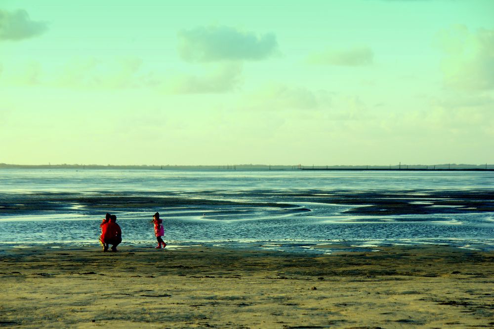 Am Strand auf Muschelsuche