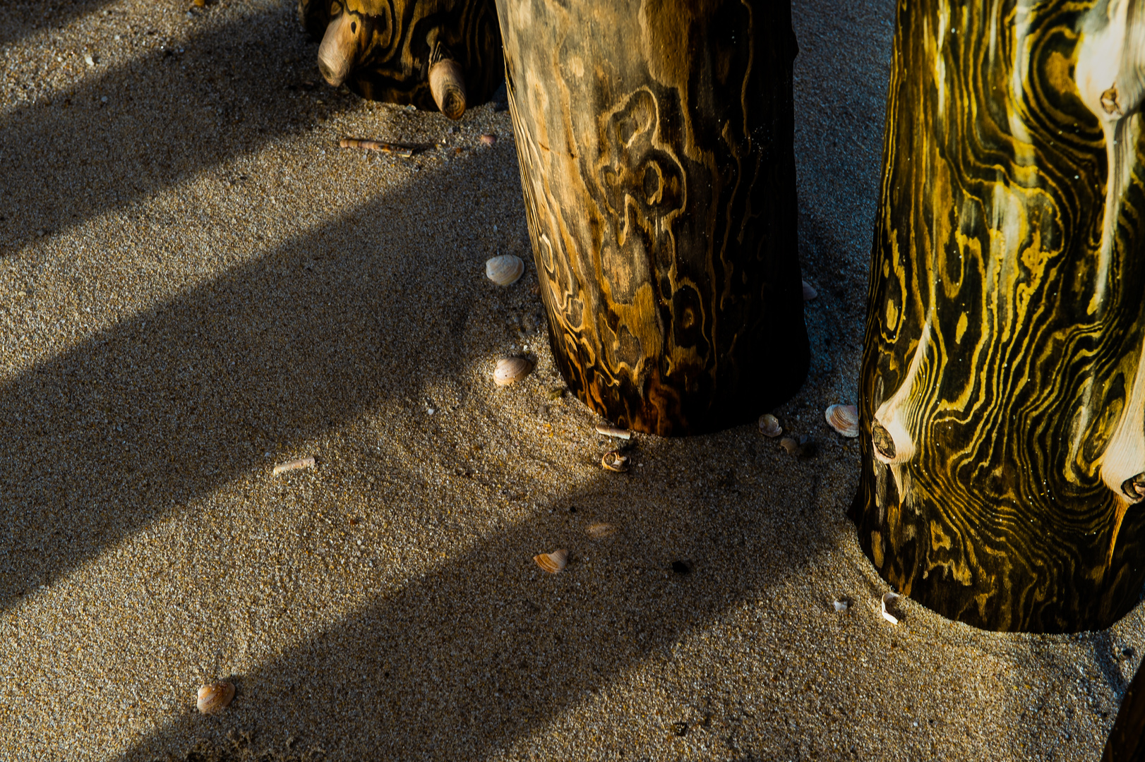 Am Strand auf Sylt    .DSC_8405