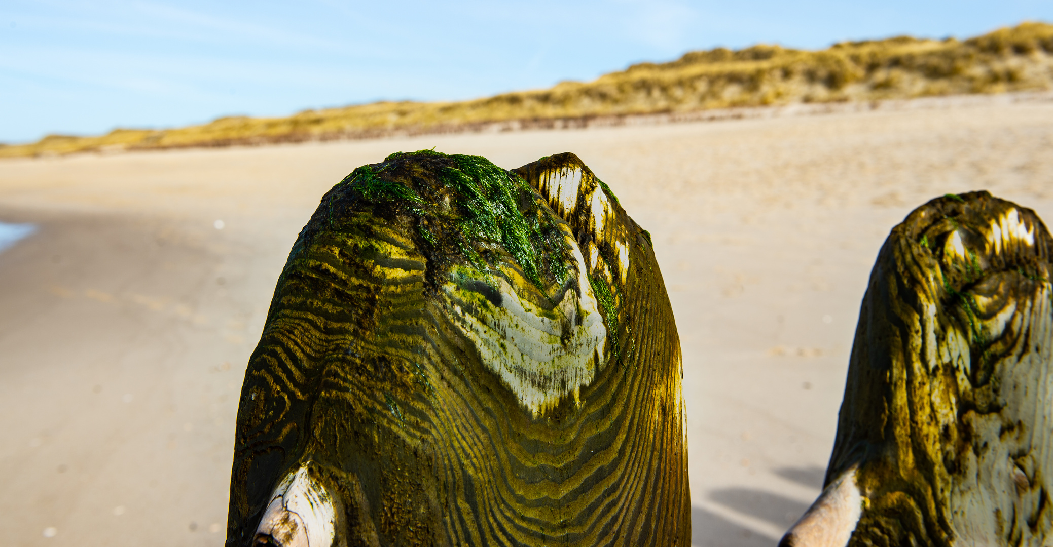 Am Strand auf Sylt .DSC_8407