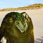 Am Strand auf Sylt .DSC_8407