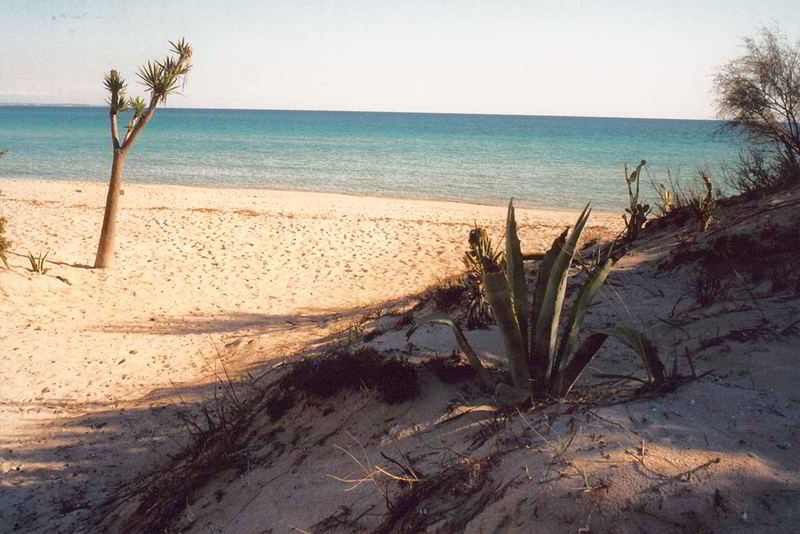 Am Strand