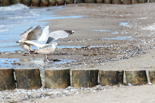 Am Strand