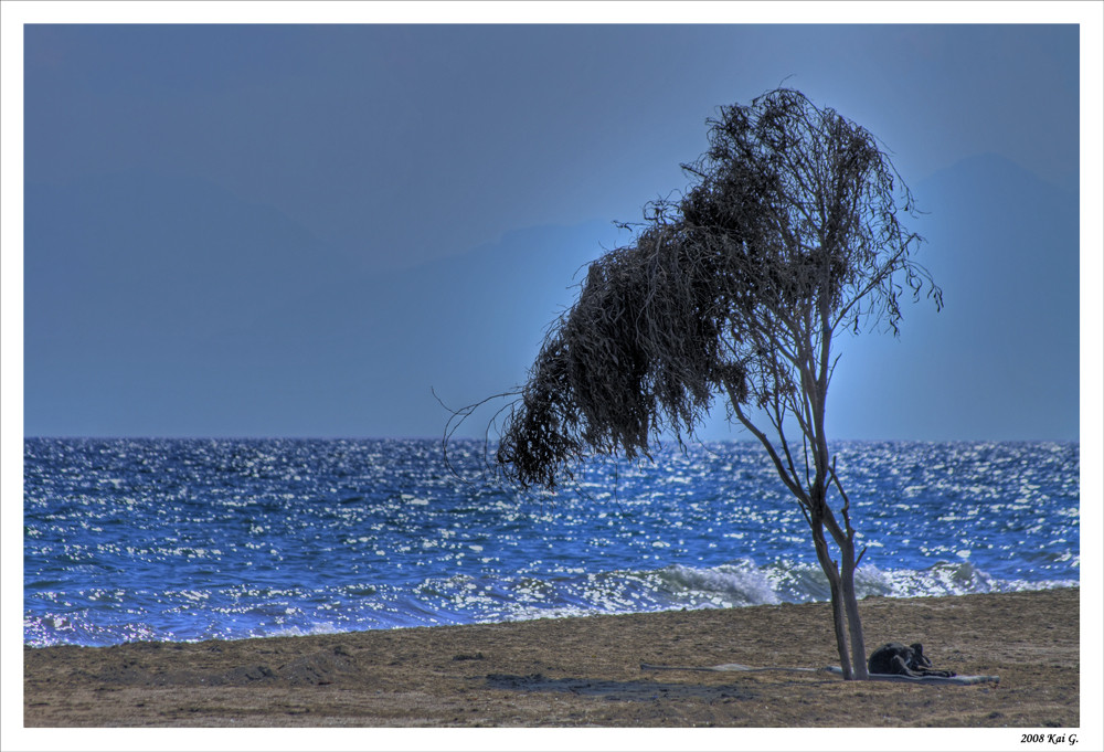 Am Strand