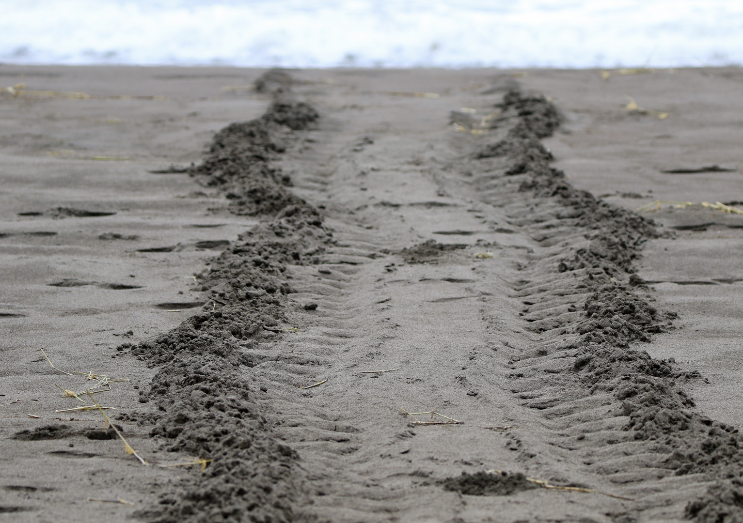 Am Strand...