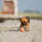 Am Strand Ball spielen...