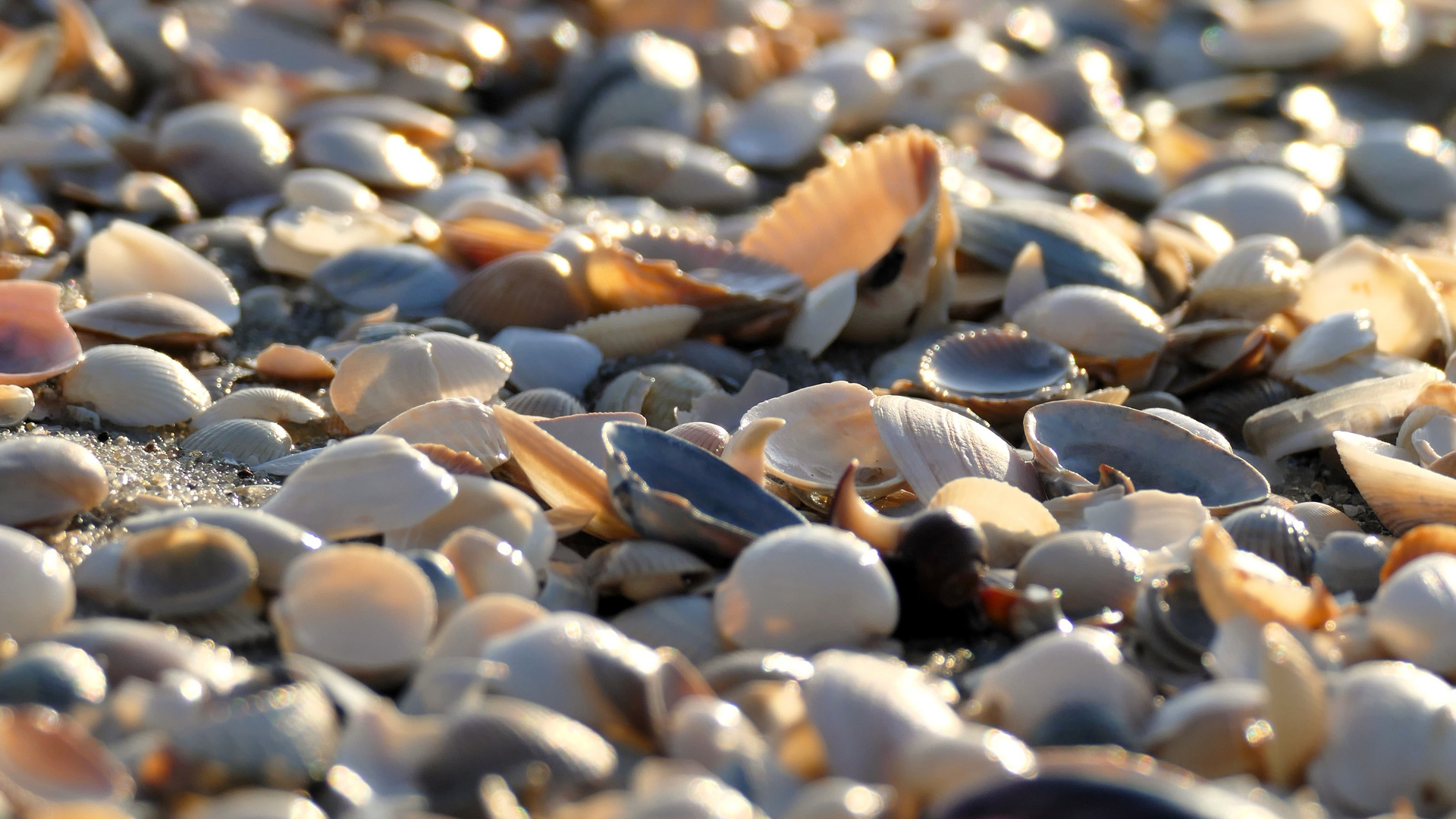 am Strand