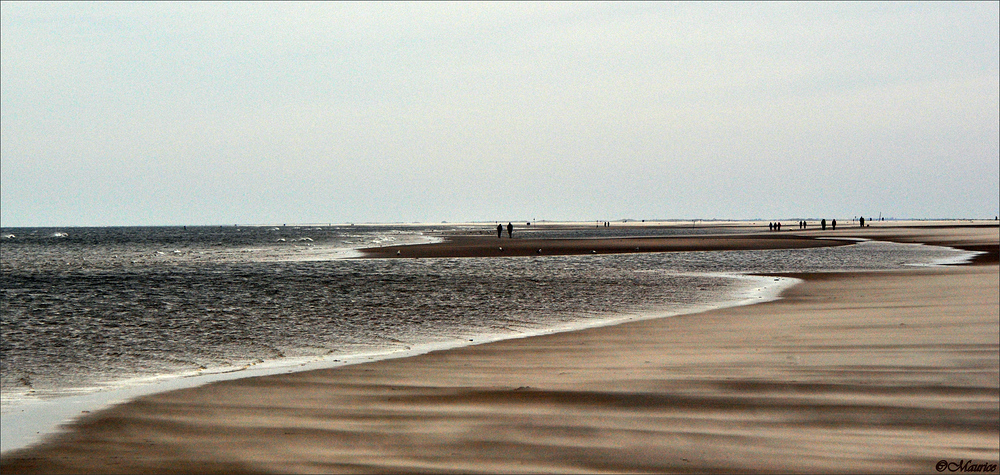 AM STRAND