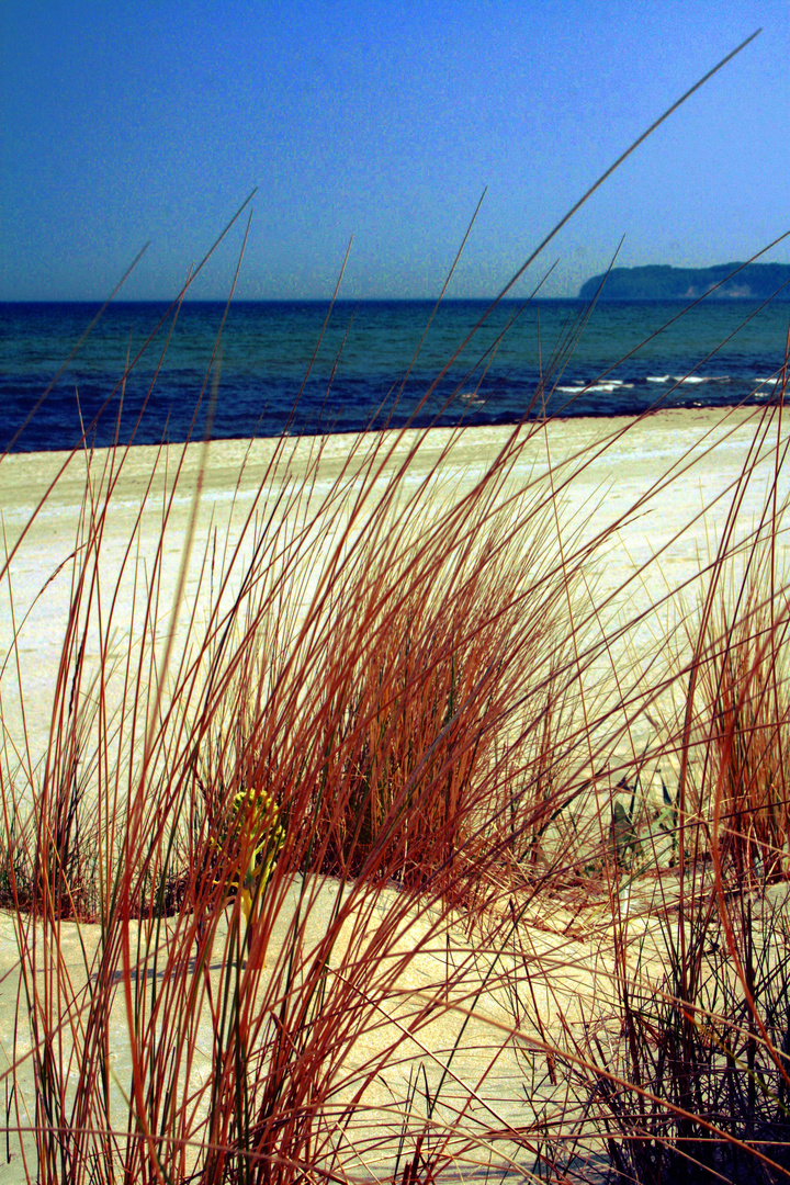 Am Strand bei Binz/Rügen