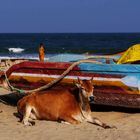 Am Strand bei Chennai