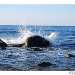 Am Strand bei Kap Arkona entdeckt