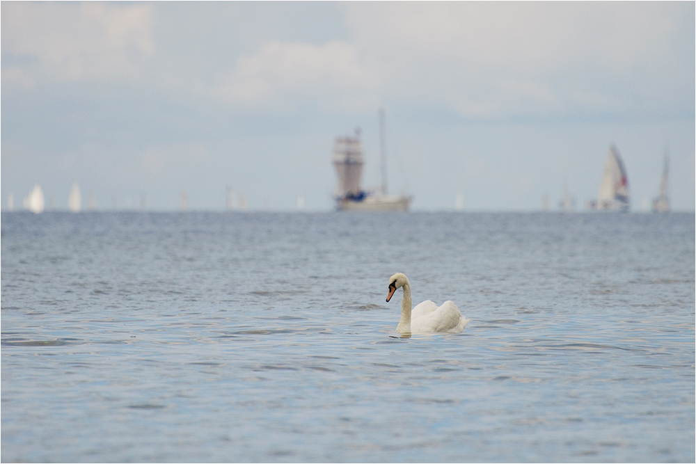 Am Strand bei Laboe ... (1)