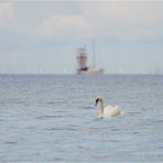 Am Strand bei Laboe ... (1)