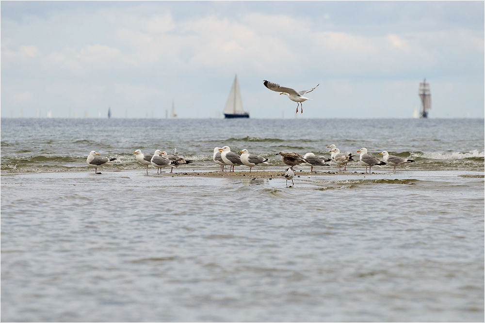 Am Strand bei Laboe (2)