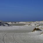 Am Strand bei Nebel 1