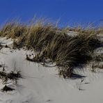 am Strand bei Nebel 14