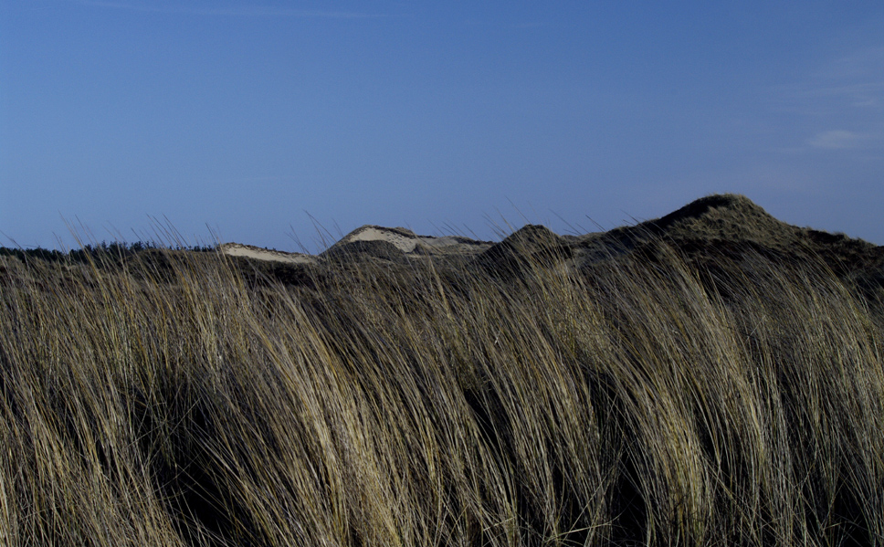 am Strand bei Nebel 17