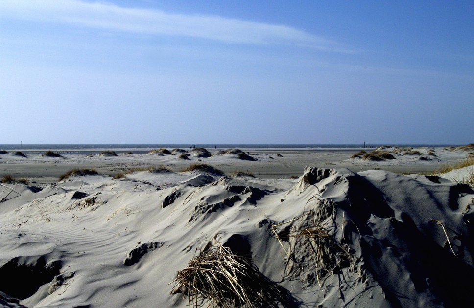 Am Strand bei Nebel 2