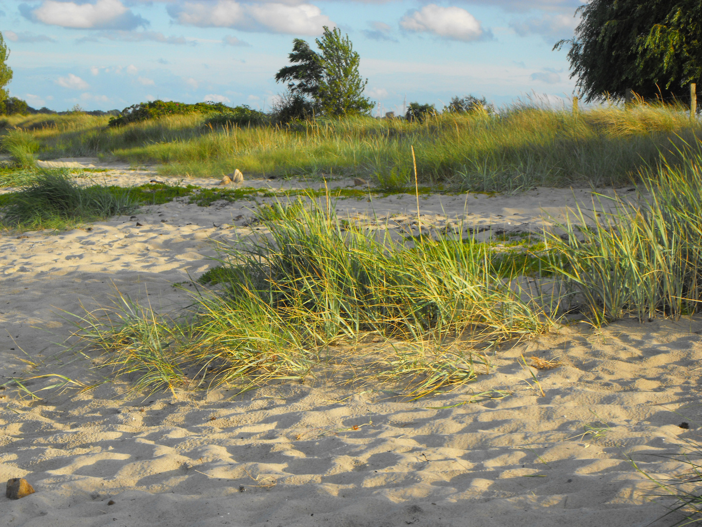 Am Strand bei Sehlendorf nahe Hohwacht