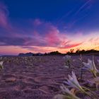 am Strand bei Sonnenuntergang