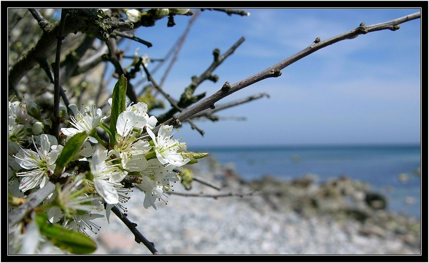 Am Strand bei Vitt....