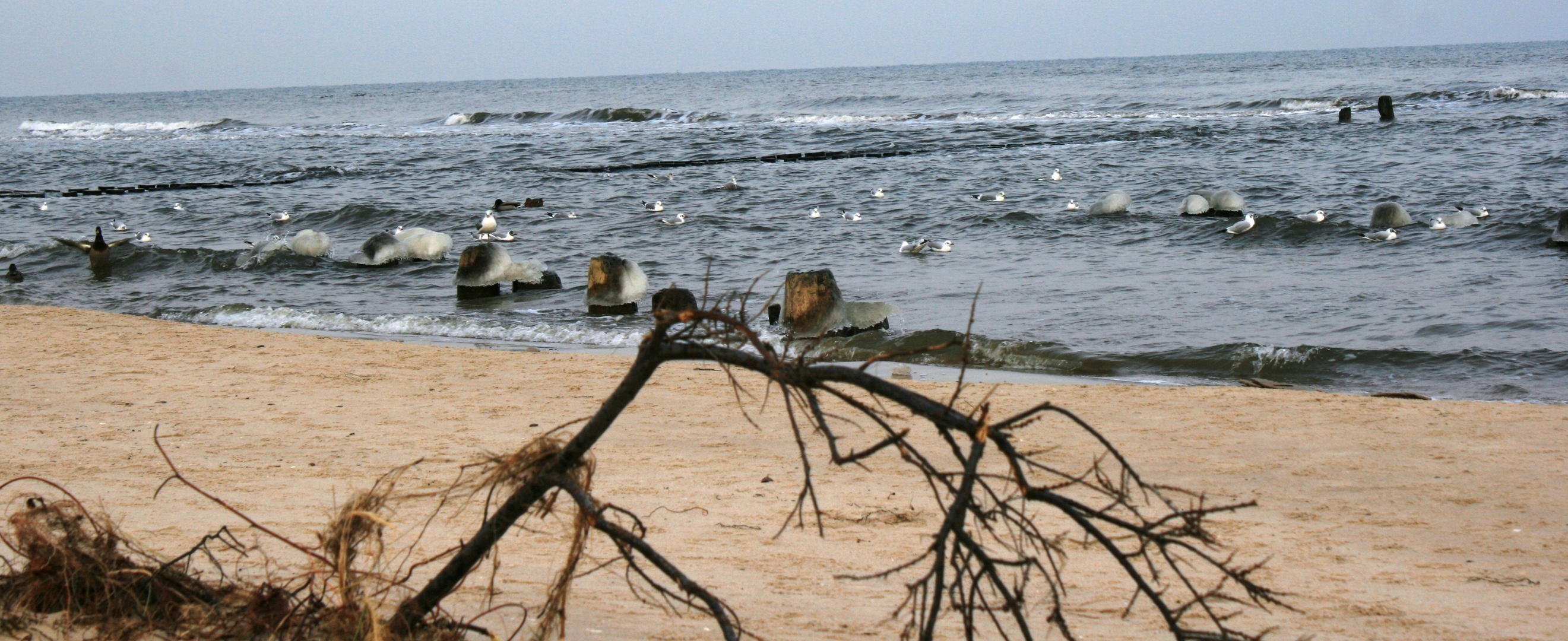 Am Strand bei Zinnowitz