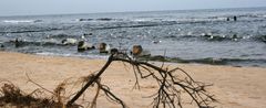 Am Strand bei Zinnowitz