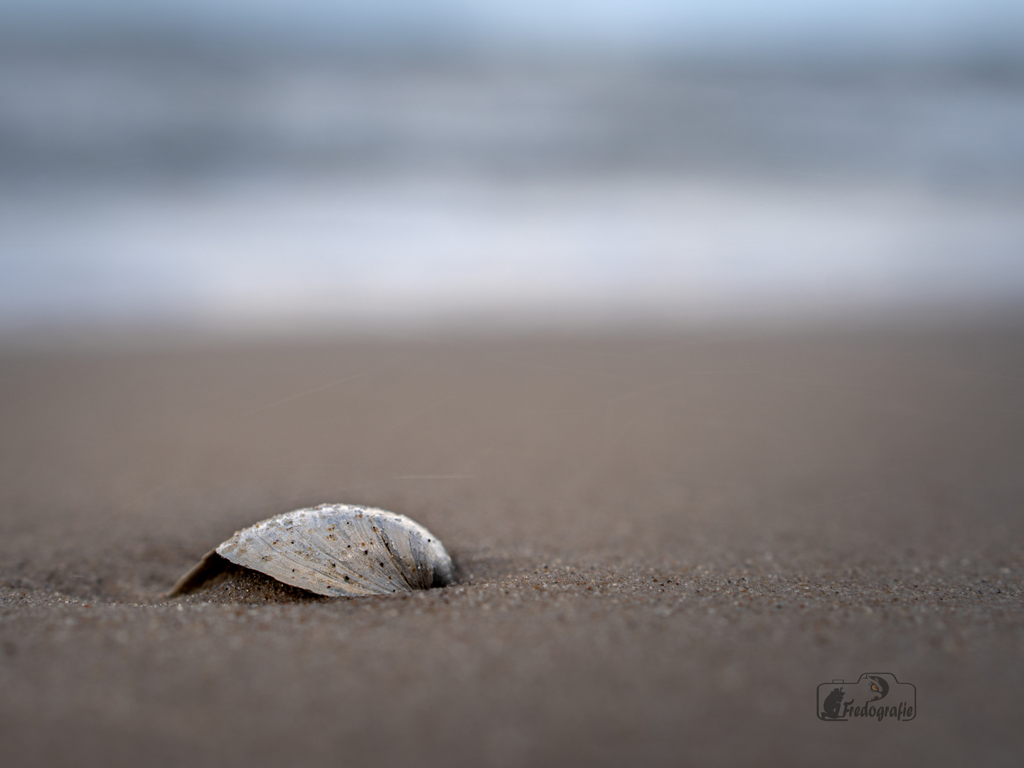 am Strand ...