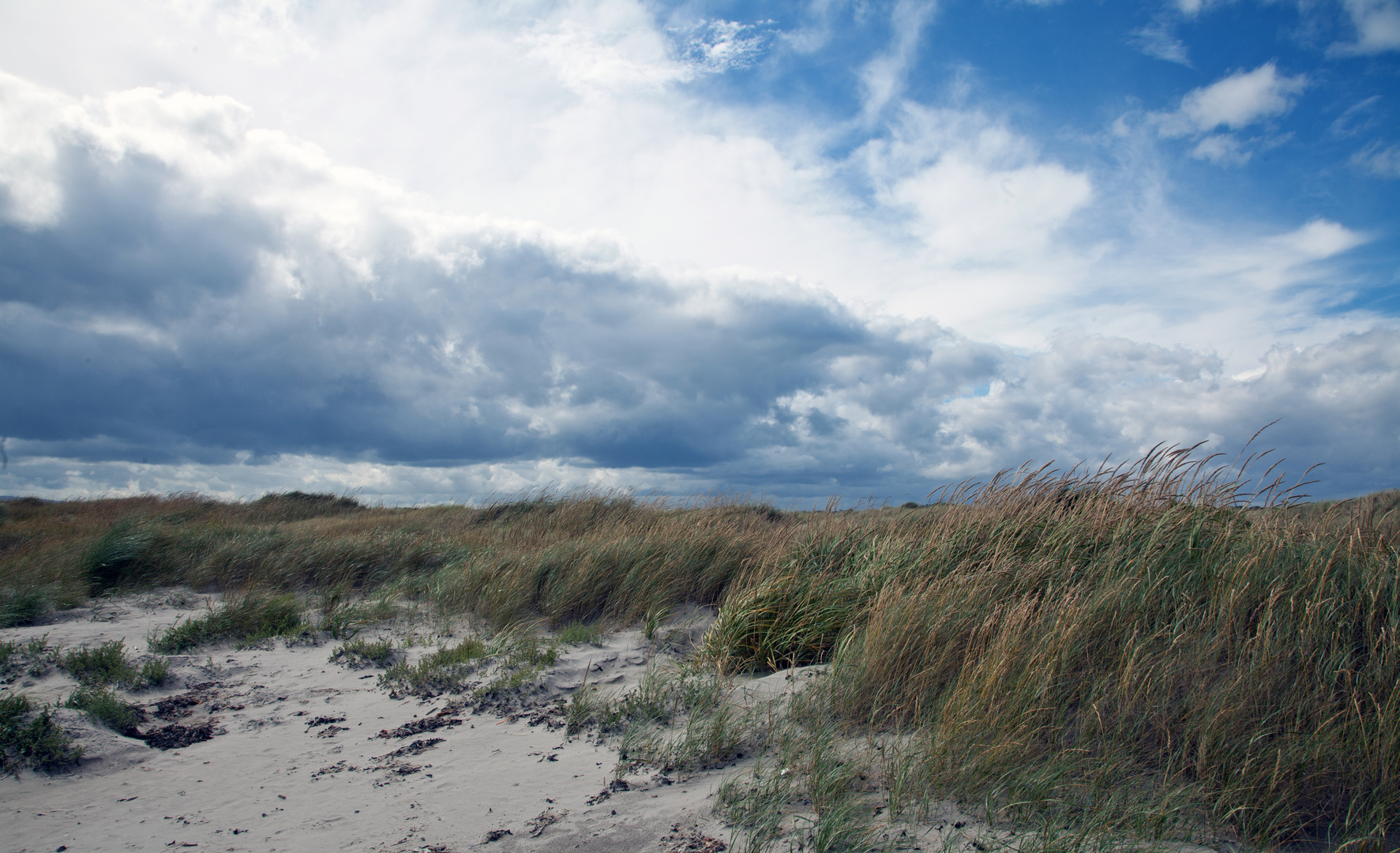 Am Strand...