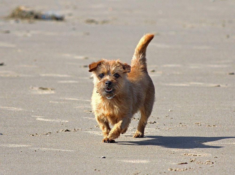 Am Strand