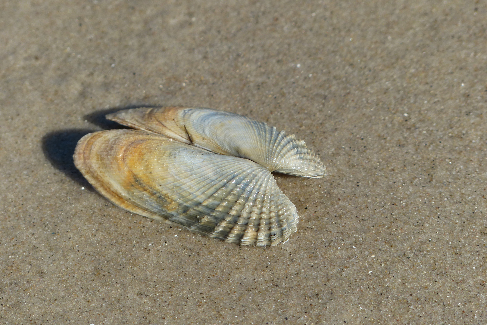 Am Strand